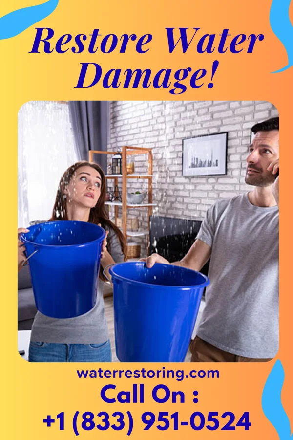 water restoration Master Water Mitigation Services West Union