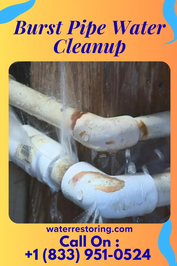 Burst Pipe Water Cleanup in West Union, WV