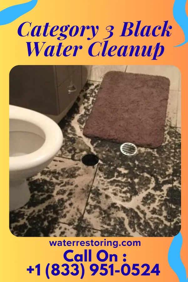 Category 3 Black Water Cleanup in West Union, WV