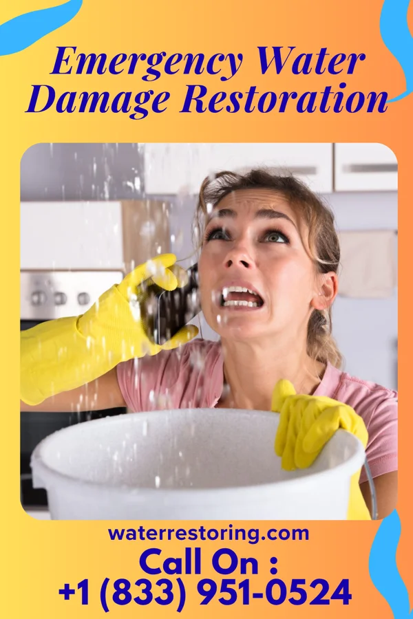 Emergency Water Damage Restoration in West Union, WV