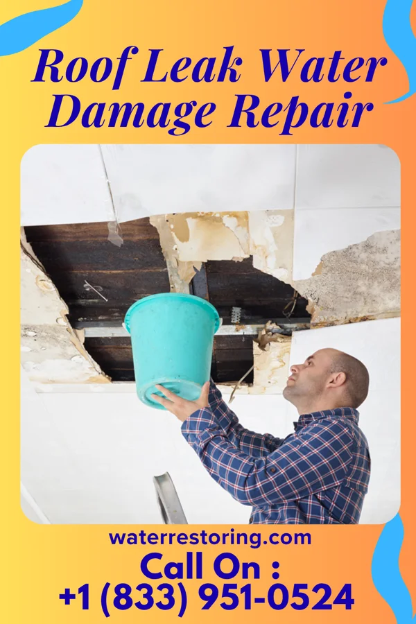 Roof Leak Water Damage Repair in West Union, WV