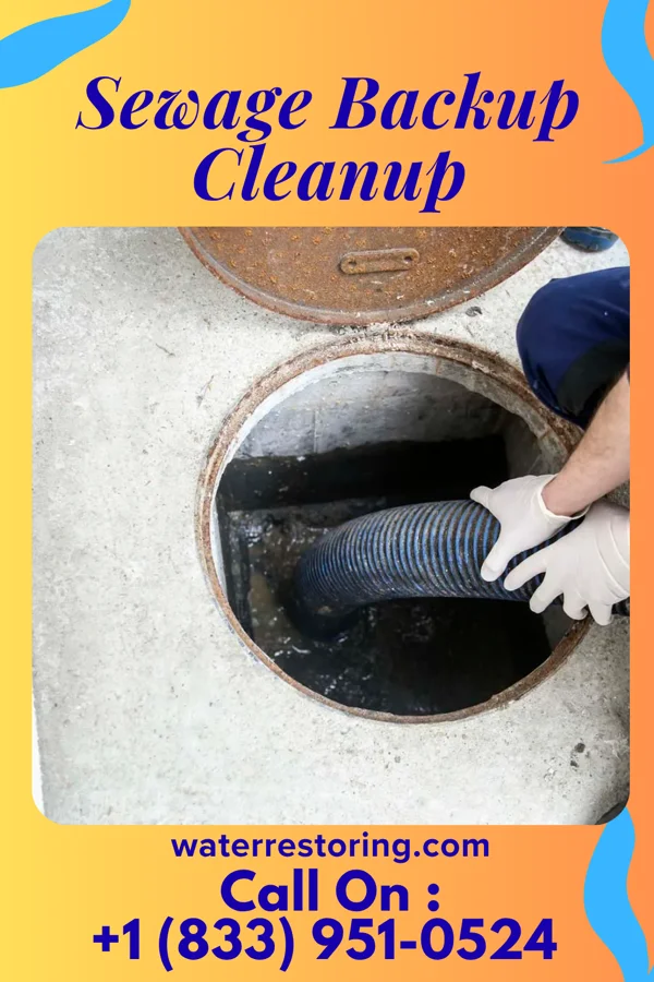 Sewage Backup Cleanup in West Union, WV
