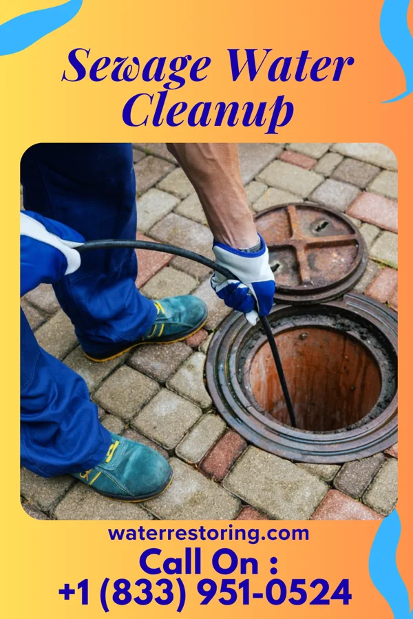 Sewage Water Cleanup in West Union, WV