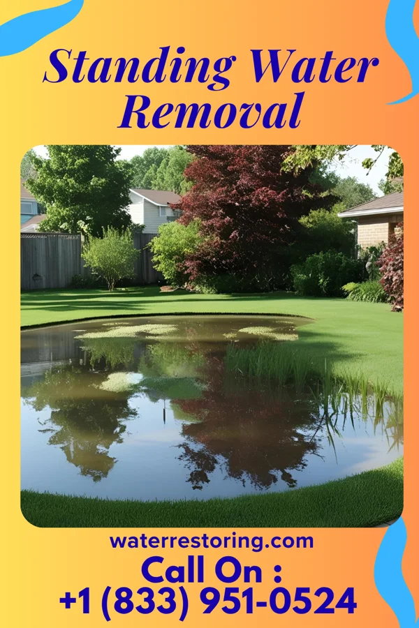 Standing Water Removal in West Union, WV